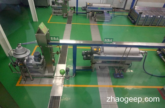 兆格分享:淺析油橄欖制油工藝