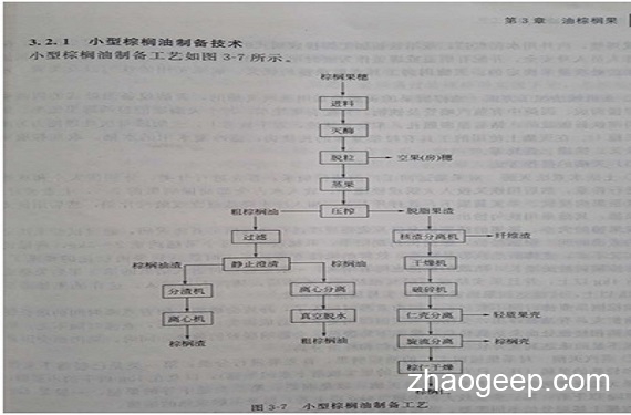 兆格分享:液壓榨油機(jī)在制取棕櫚油的應(yīng)用