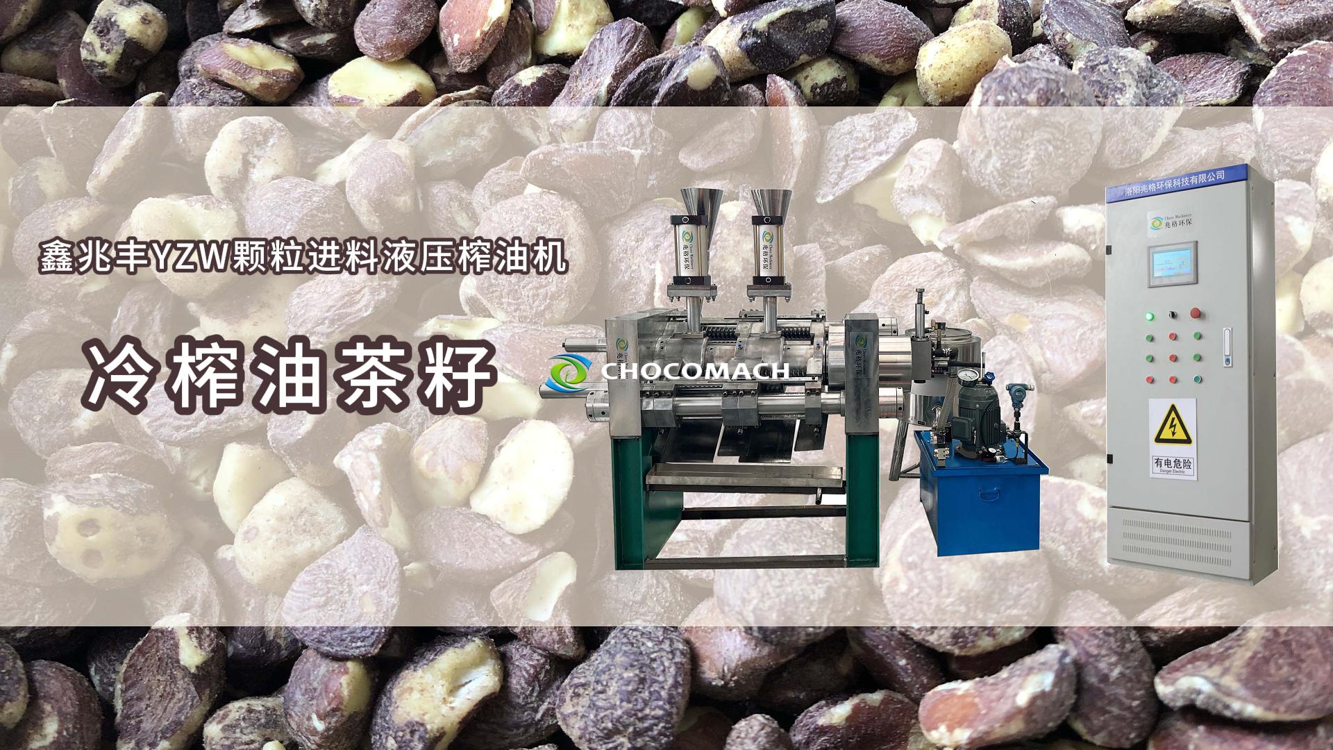 祝賀鑫兆豐全自動液壓榨油機(jī)YZW處理茶籽顆粒測試成功